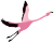 Fly Graphic