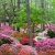 Callaway Gardens